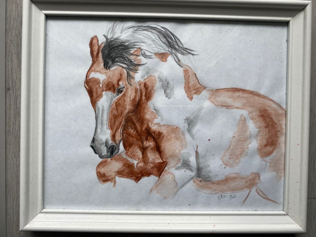 Strakatý divoký kůň